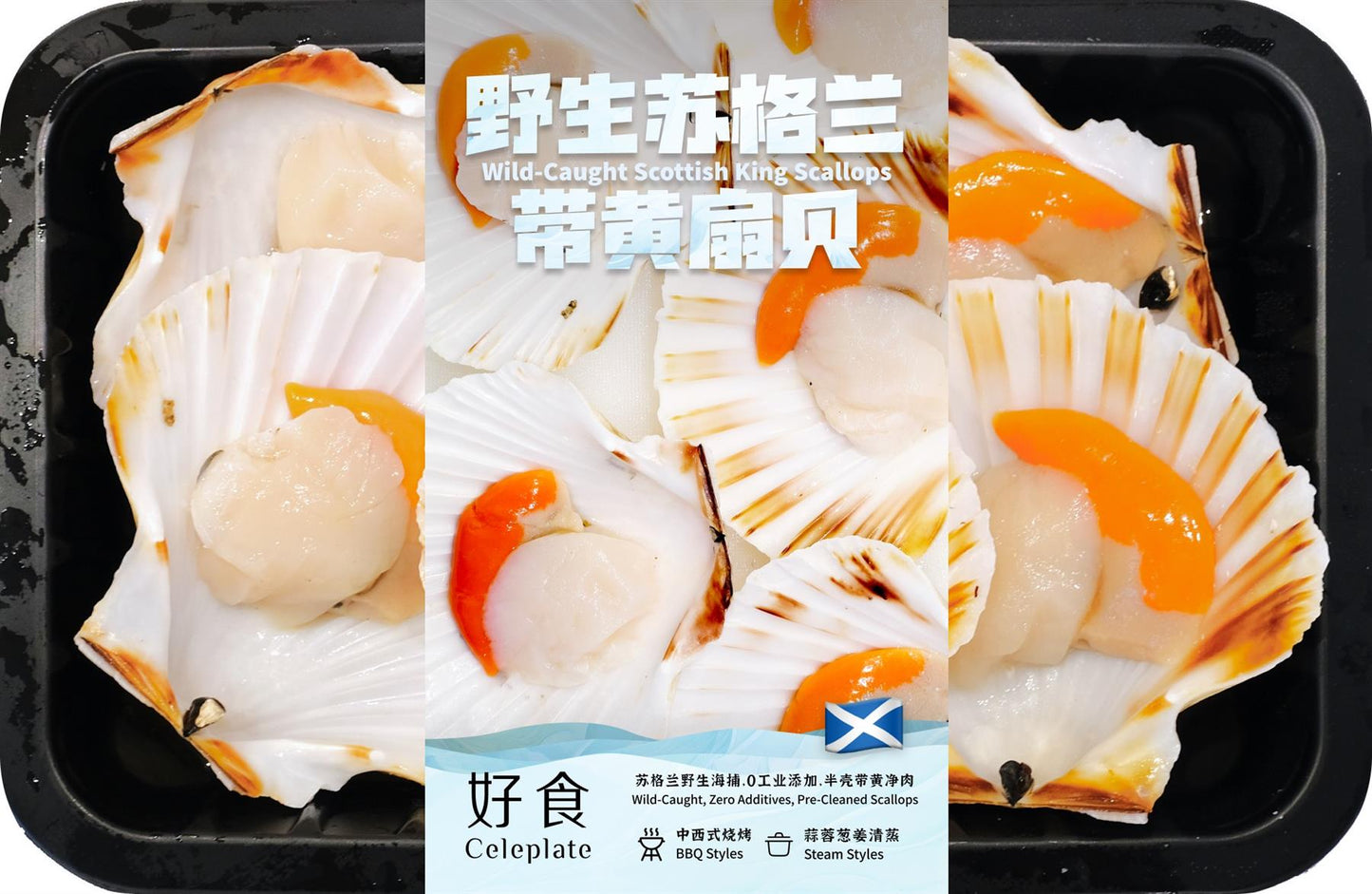 Celeplate Wild Catch Scottish King scallop (5pcs) 美味野生蘇格蘭帶黃扇貝 (5個)