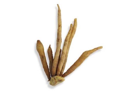 Tanarsart Brand Fresh Kaempfer 100g