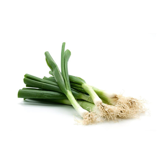 Fresh Spring Onion 青蔥