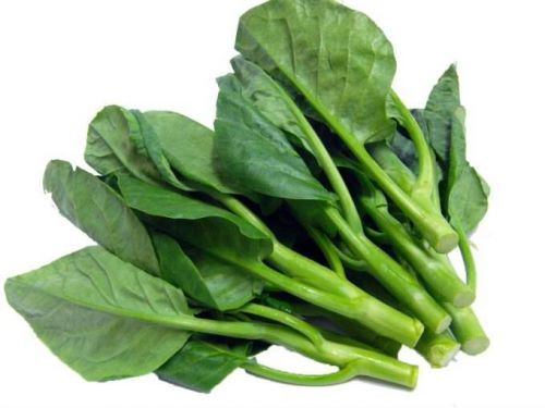 Fresh Chinese Kale (Kai Lan) 新鮮芥蘭 250克