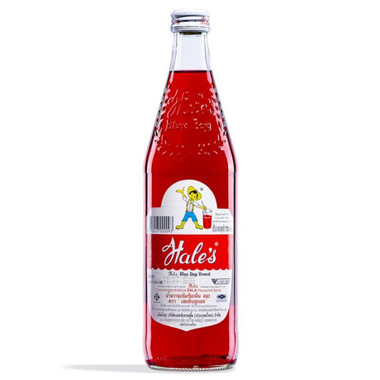 Hale's Concentrated Artificial Sala Flavoured Syrup