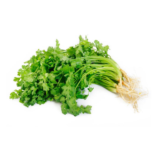 新鮮香菜