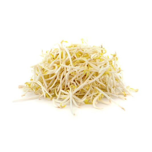 Fresh Beansprouts 新鮮芽菜 300g