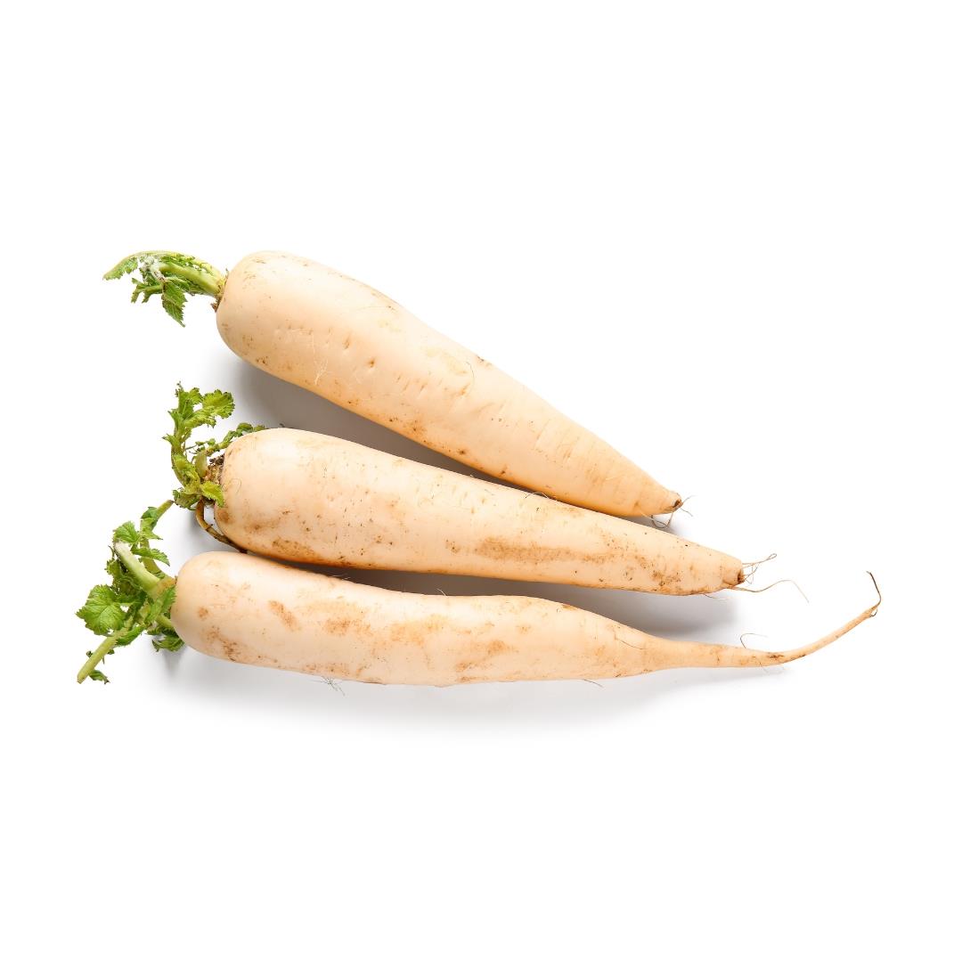 Fresh White Radish (Mooli) 新鮮白蘿蔔