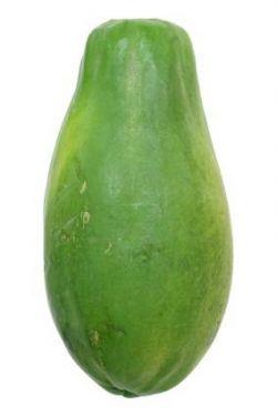 Fresh Green Papaya