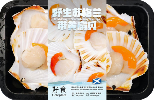 Celeplate Wild Catch Scottish King scallop (5pcs) 好食 野生蘇格蘭带黄扇貝 (5個)